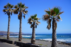 Mietauto am Flughafen Teneriffa