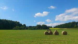 Mietwagen im Westerwald buchen